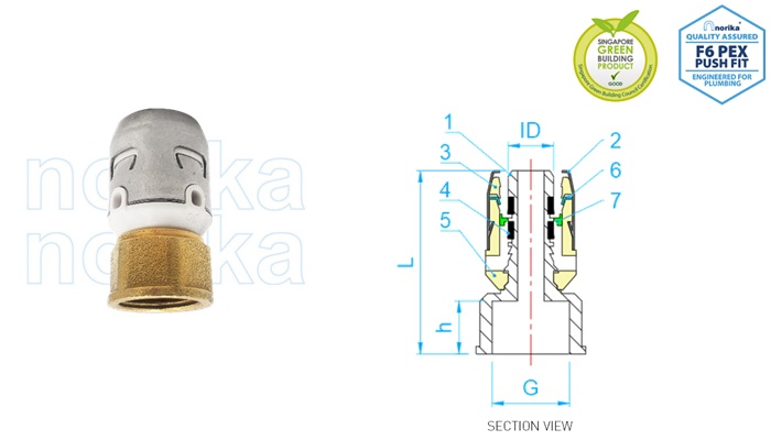 PEX Push-Fit FI Adaptor (Type F6)